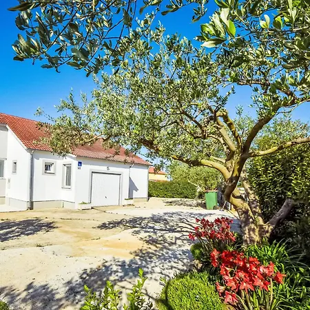 Ivanka By Interhome Σπίτι διακοπών Biograd Na Moru